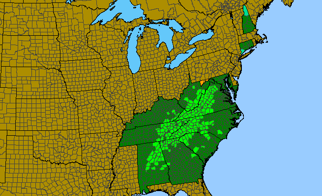 The range of Campanula divaricata